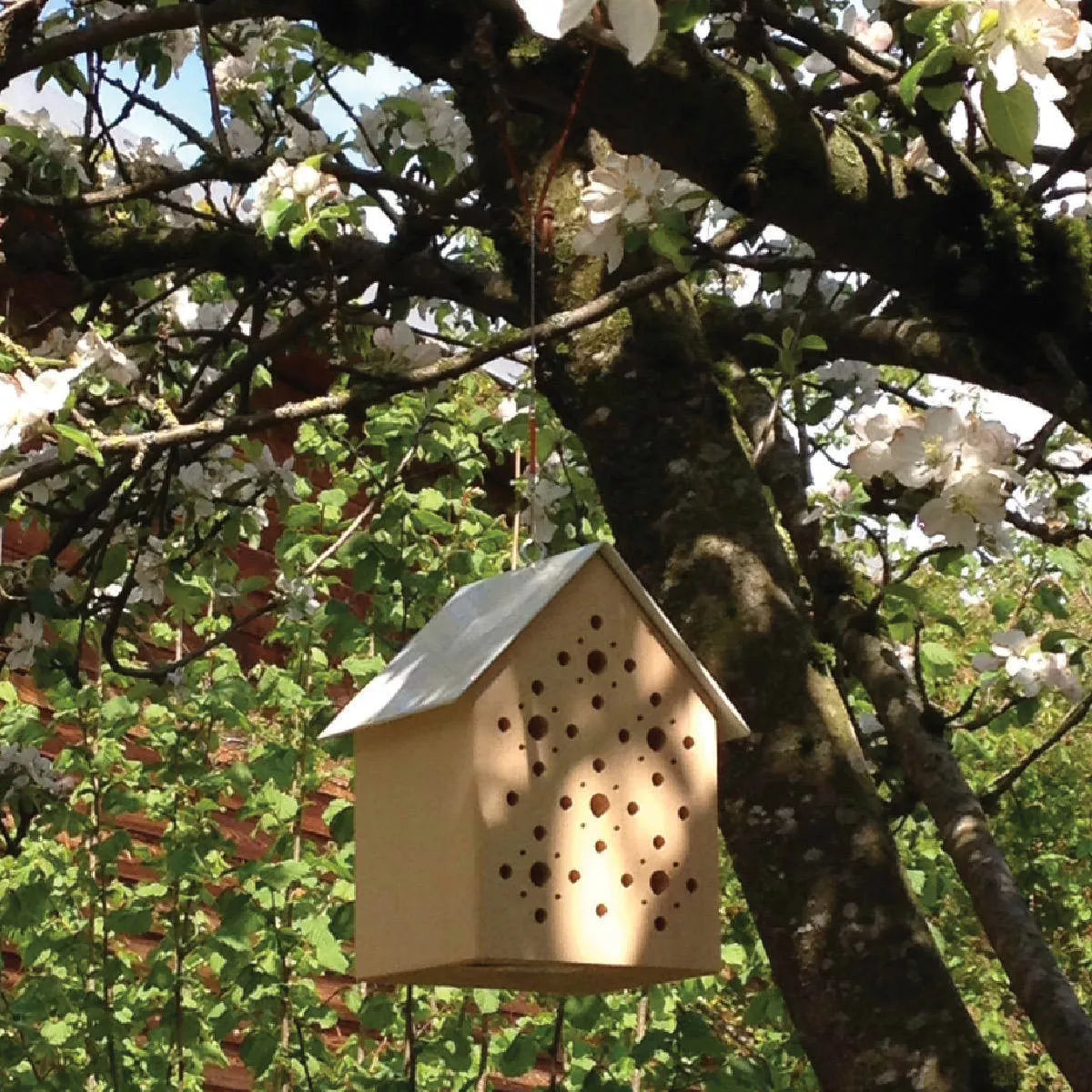 Bienenhotel Bees' Inn