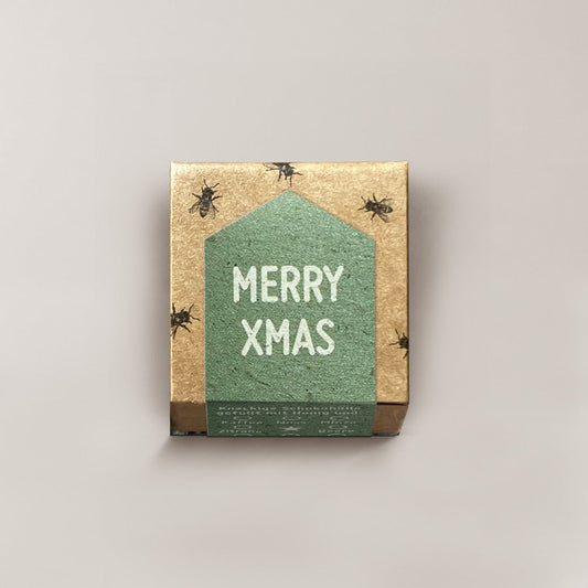 Merry Xmas Typo / 1er Honigpraline