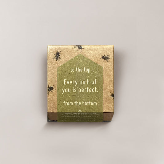 Every inch of you is perfect / 1er Honigpraline