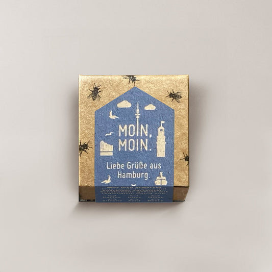 Moin Moin (Skyline) / 1er Honigpraline