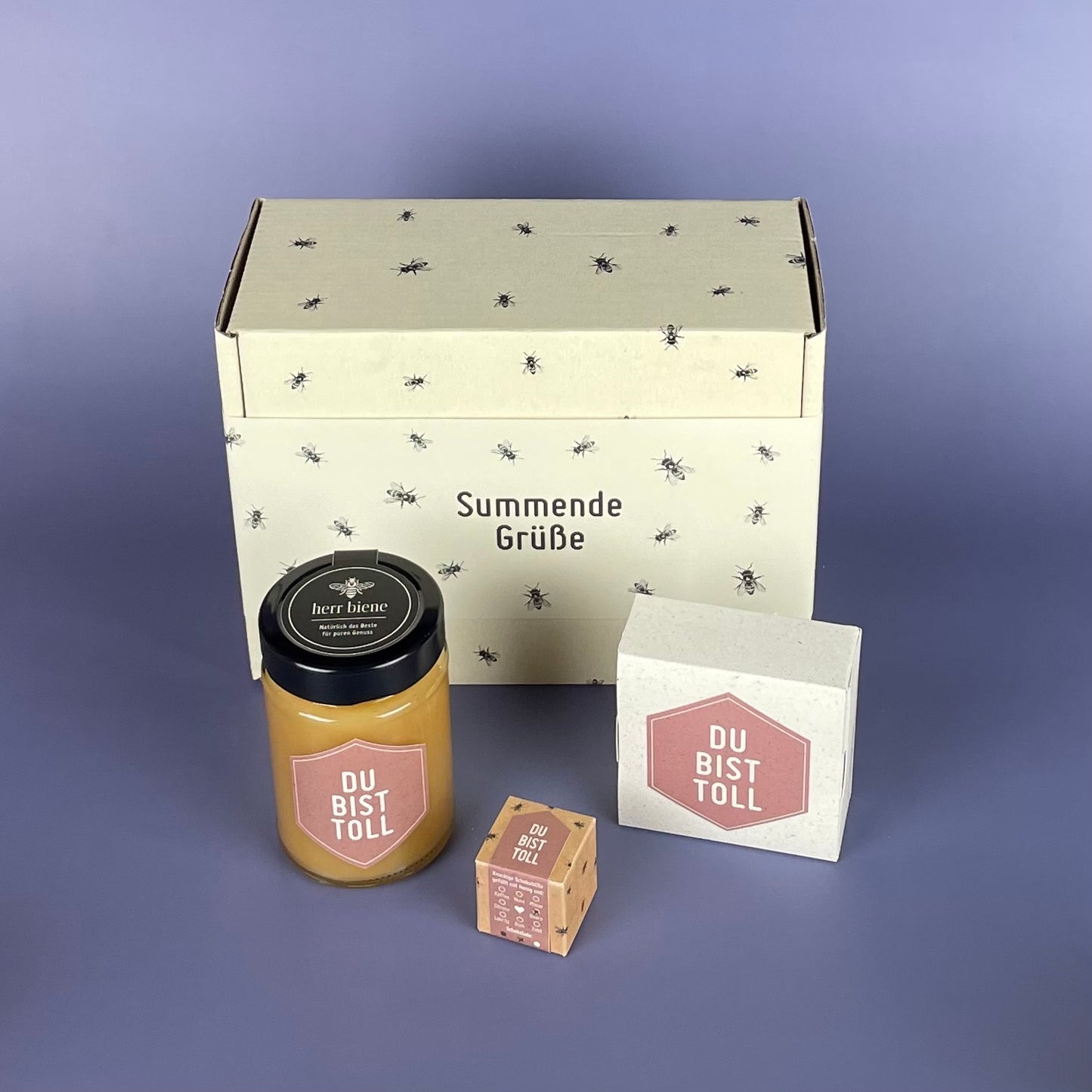 Geschenkbox mit Banderole I Du bist toll  (M)