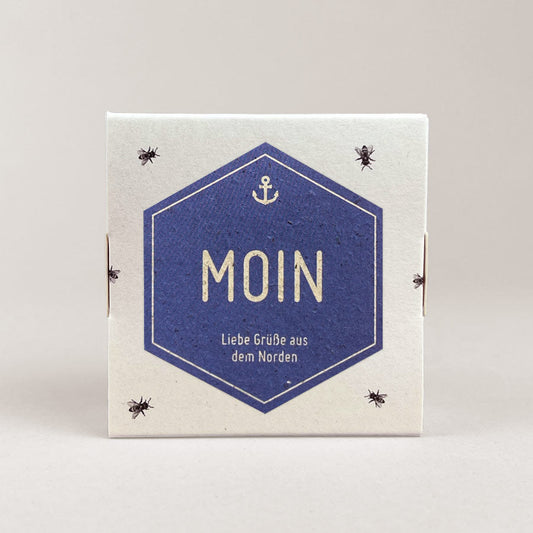 Moin / 4er Honigpralinen