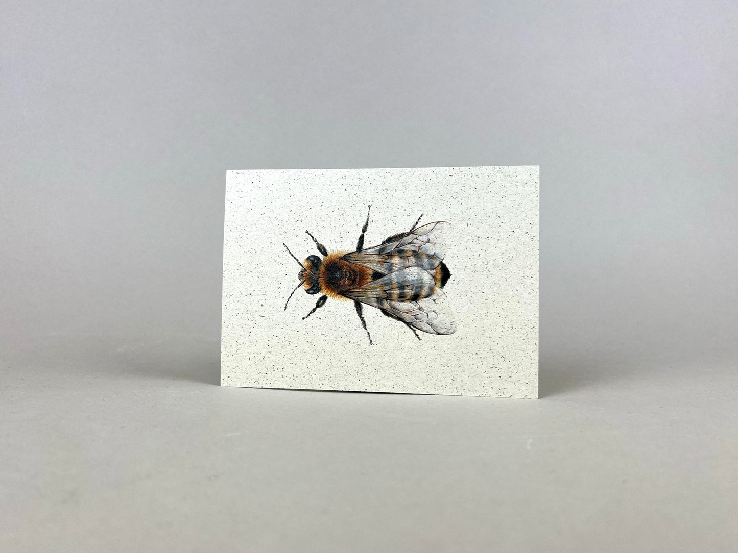 Graspapier Postkarte | Honigbiene