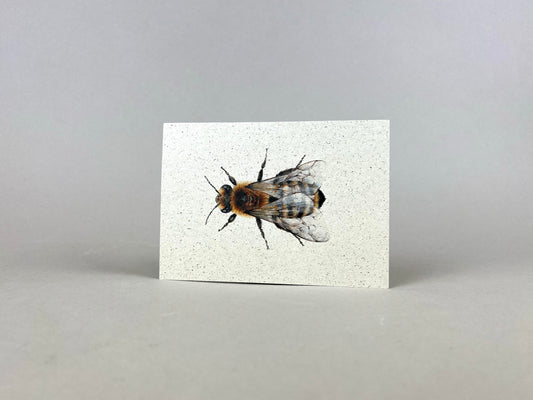 Graspapier Postkarte | Honigbiene