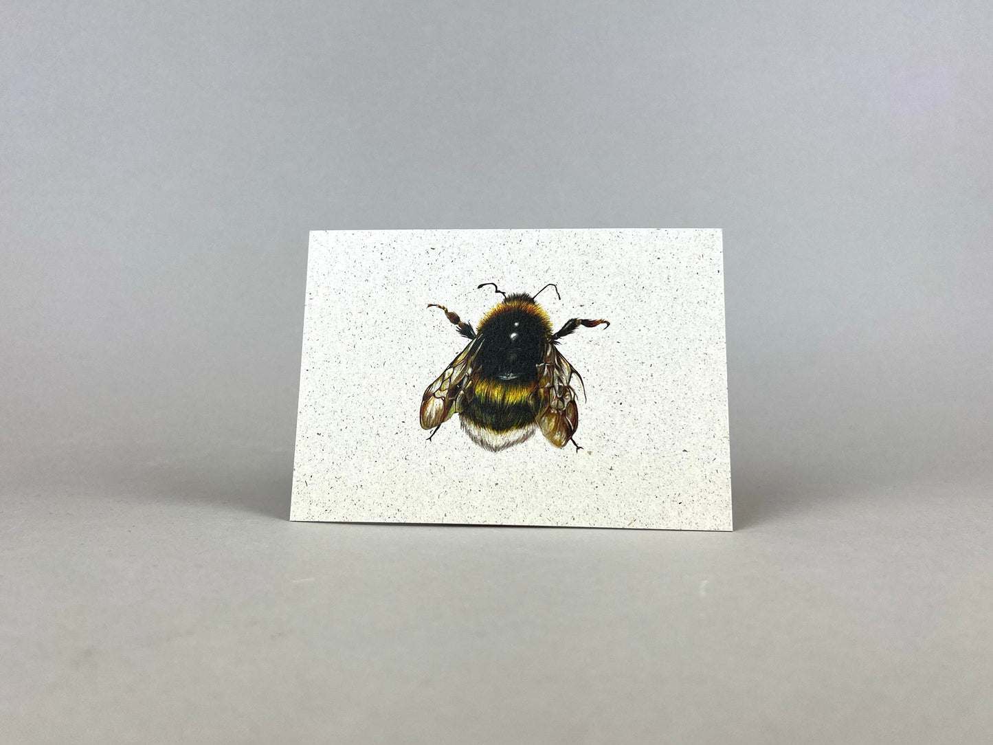 Graspapier Postkarte | Hummel 1