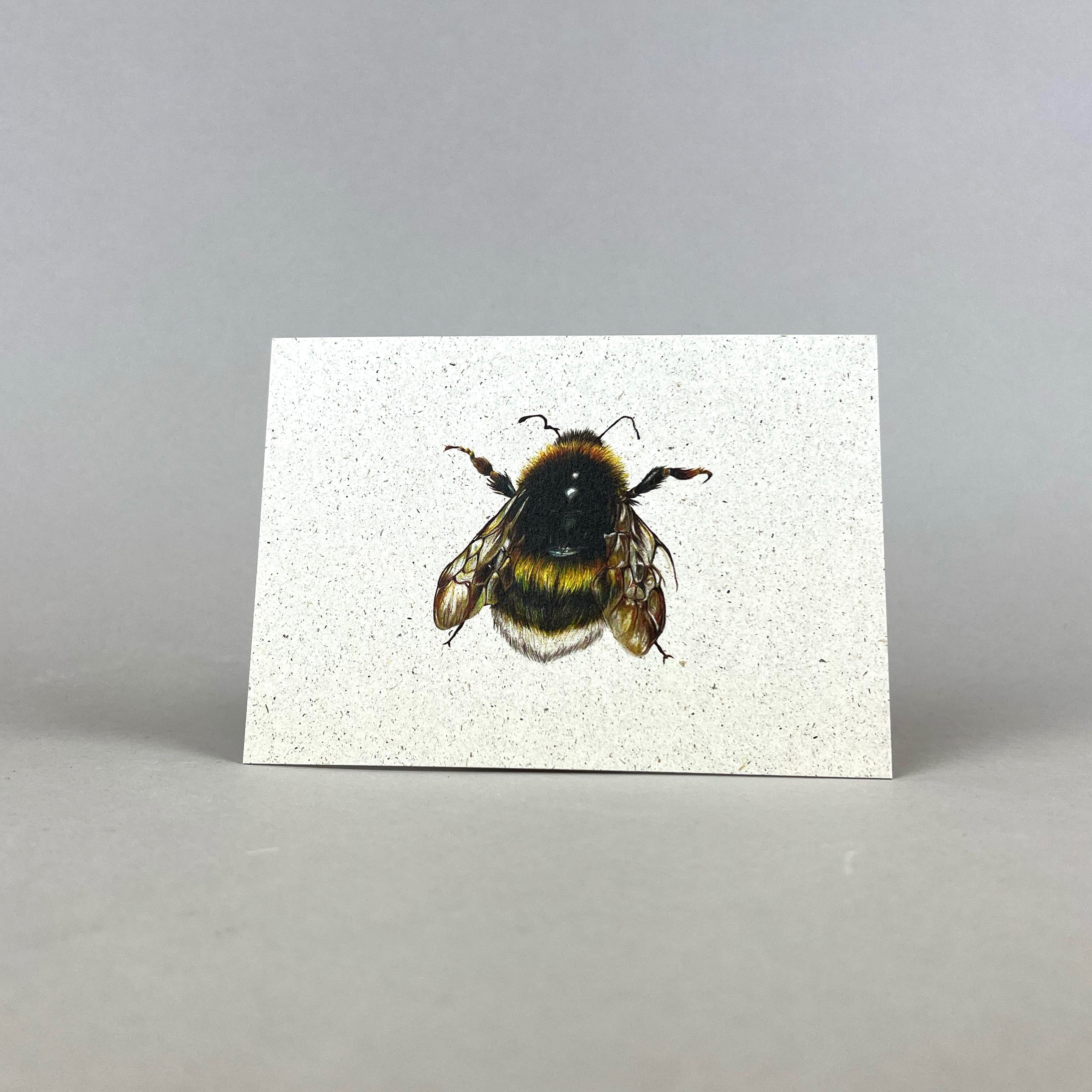 Graspapier Postkarte | Hummel 1