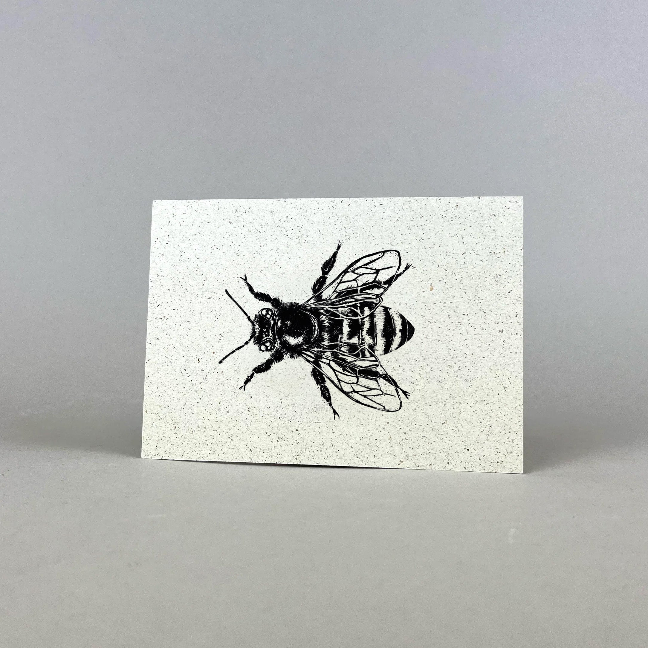 Graspapier Postkarte | Honigbiene schwarz