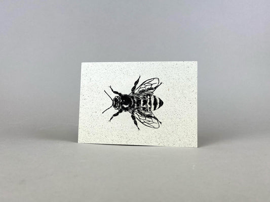 Graspapier Postkarte | Honigbiene schwarz
